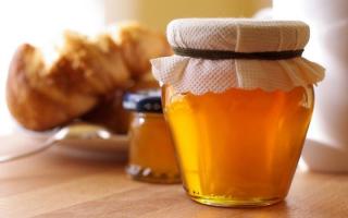 Полезные свойства, противопоказания и состав цветочного меда Как выглядит цветочный мед